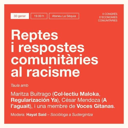 Reptes i respostes comunitàries al racisme 