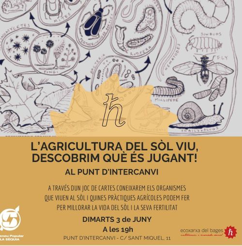 L'agricultura del sòl viu (aprenem jugant) 