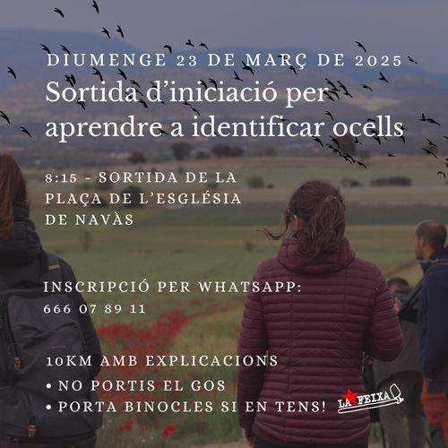 Sortida d'iniciació per aprendre a identificar ocells