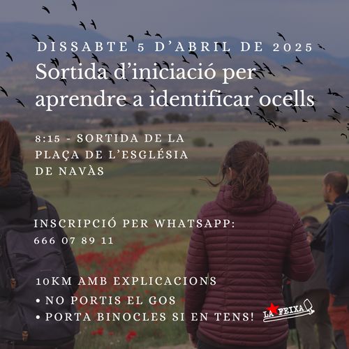 Sortida d'iniciació per aprendre a identificar ocells